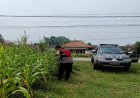 Sinergitas Polri Melaksanakan Penyiraman Pohon Jagung Desa Gempol