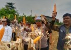 Panen Dua Ton Lebih Jagung Hibrida, Polsek Klari Buktikan Komitmen Swasembada Pangan 2025