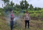Kapolsek Klari Cek Lahan Penanaman Jagung Dukung Program Ketahanan Pangan