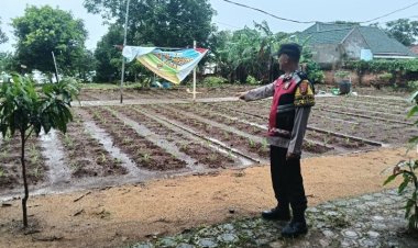 Dukung Ketahanan Pangan, Bhabinkamtibmas Polsek Telagasari Lakukan Perawatan Tanaman Jagung